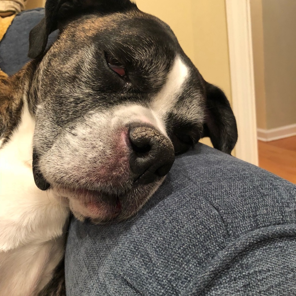 Meet your Posher, Ruth